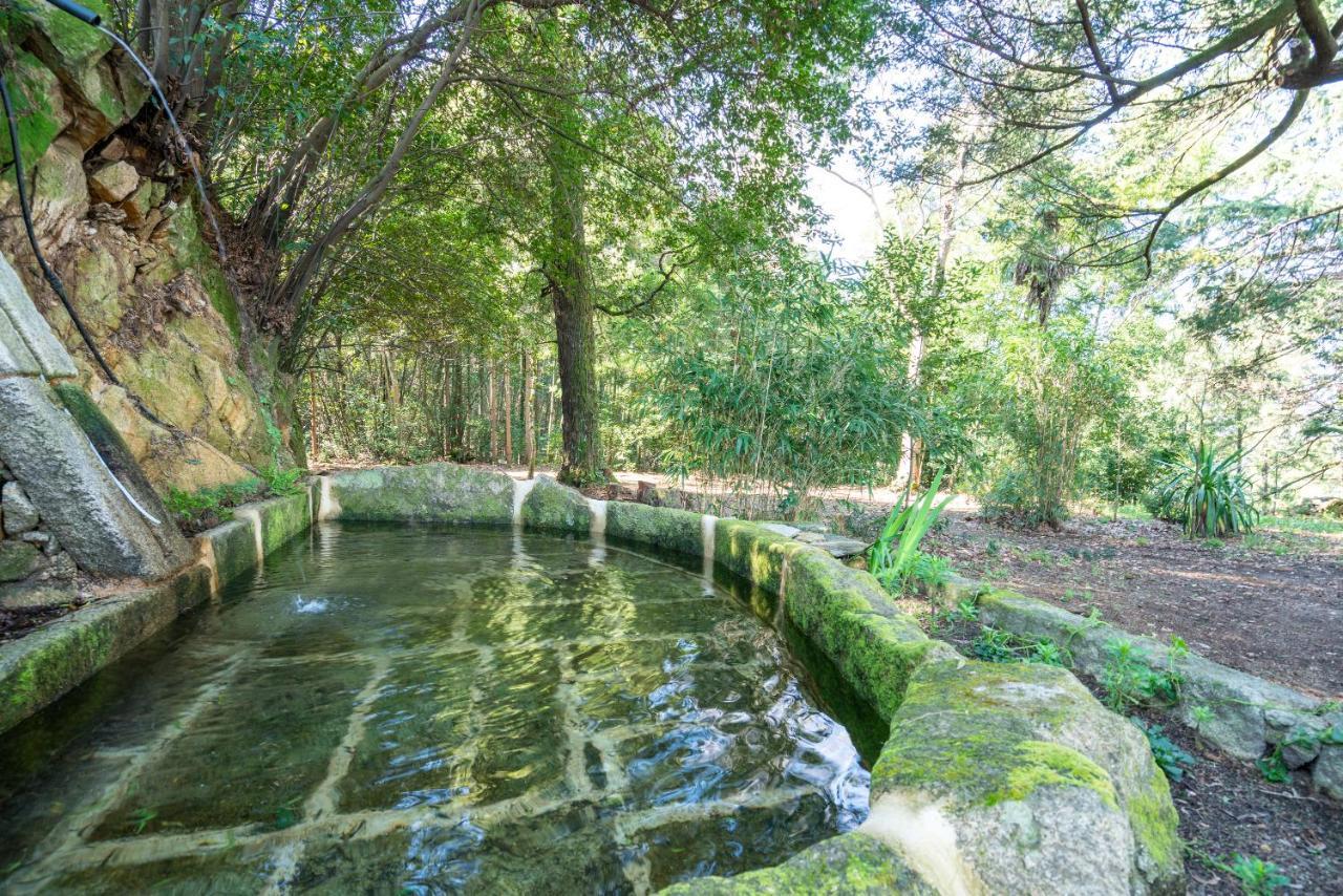 Quinta Das Lamas - Antiga Adega Возела Екстер'єр фото